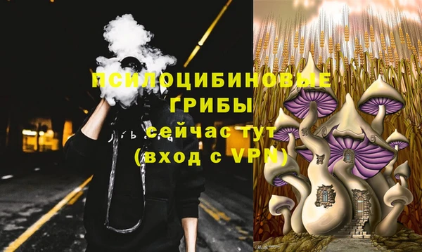 молекула духа Богородск