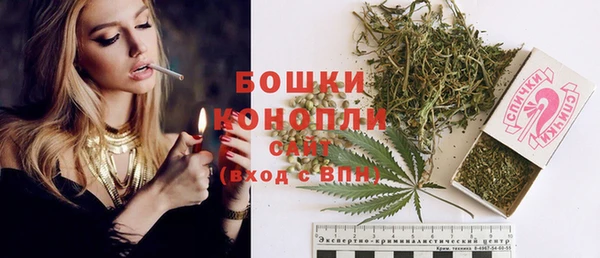 молекула духа Богородск