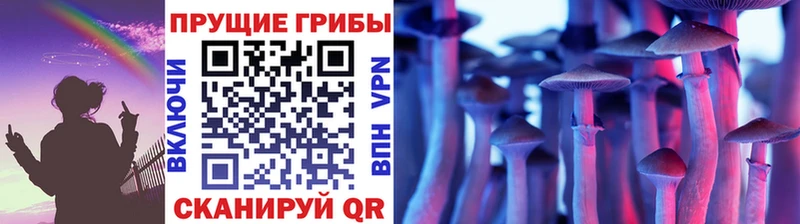 нарко площадка телеграм  Будённовск  Псилоцибиновые грибы прущие грибы 